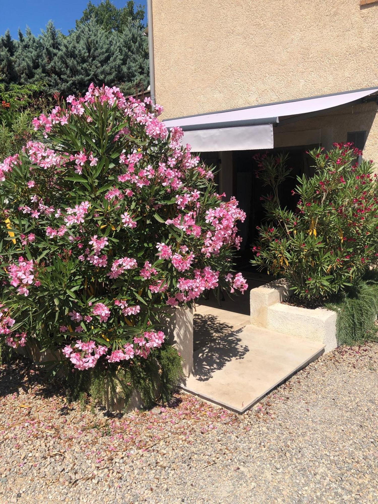 Le Cocon De Provence Apartment Файенс Екстериор снимка