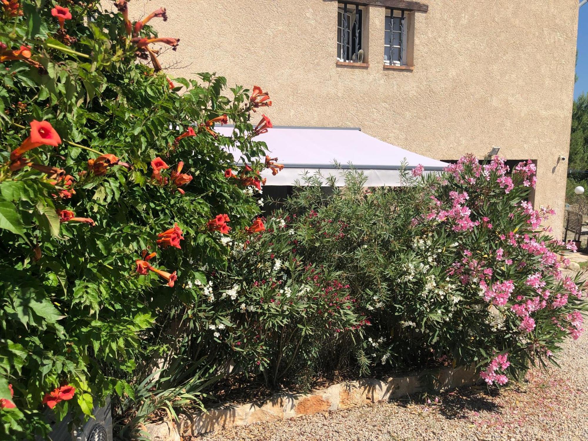 Le Cocon De Provence Apartment Файенс Екстериор снимка